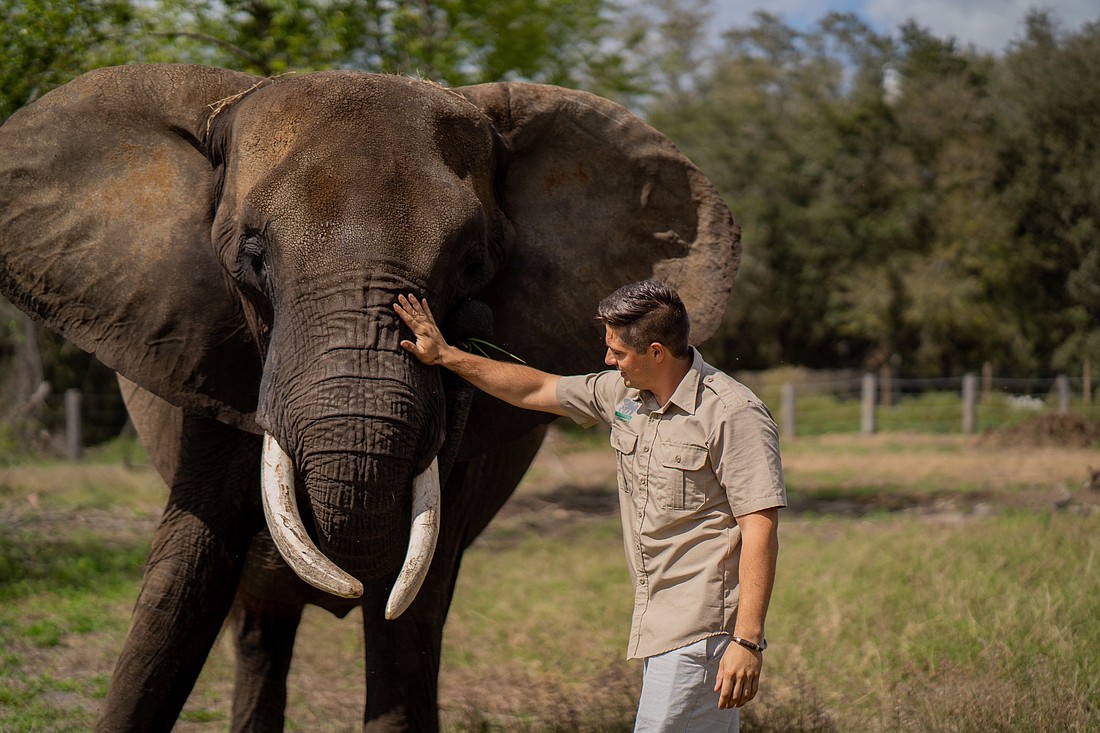 Myakka Elephant Ranch
