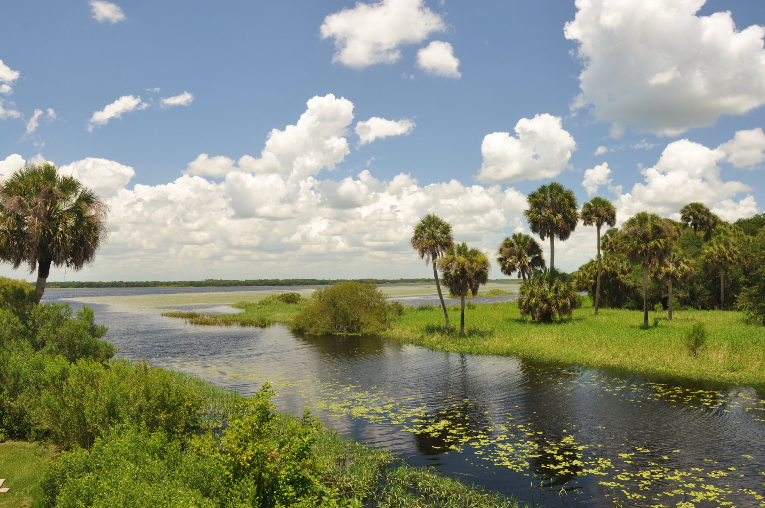 Myakka River State Park
