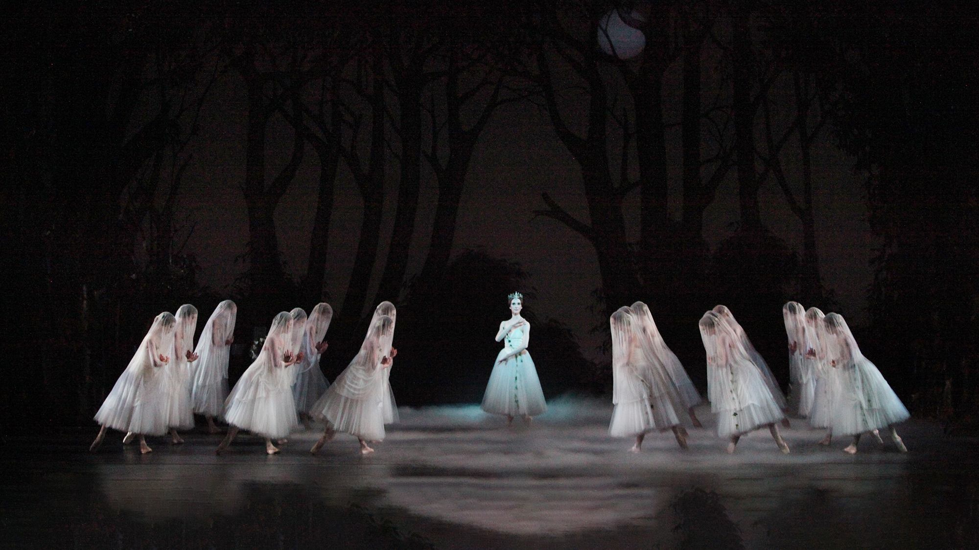 The Sarasota Ballet in Sir Peter Wright&#8217;s Giselle Act II
