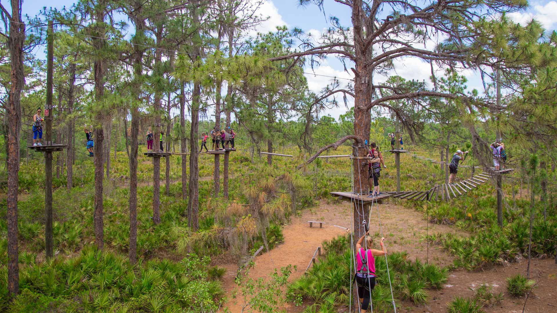 TreeUmph! Adventure Course
