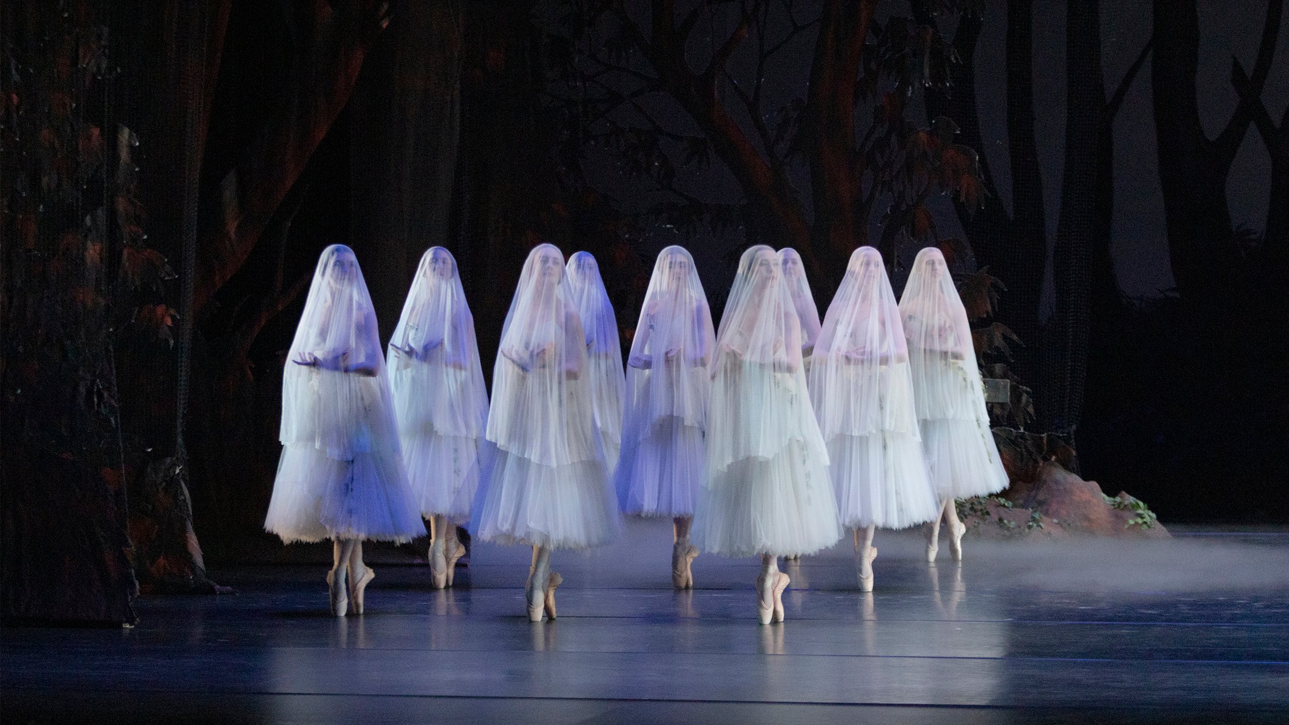 The Sarasota Ballet Performing Sir Peter Wright’s Giselle | Photo by Frank Atura

