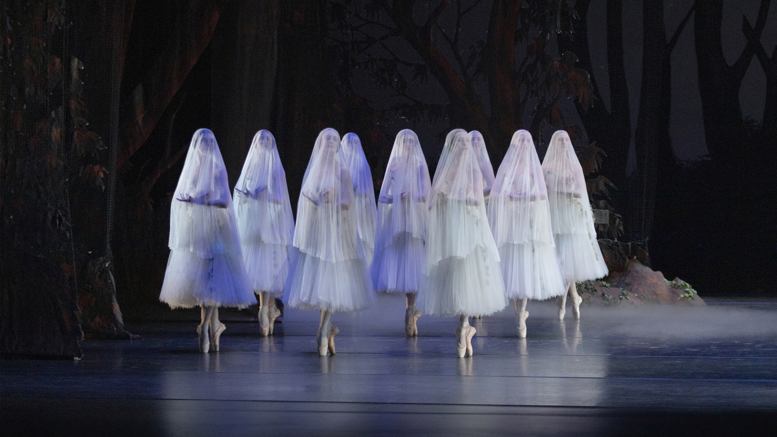 The Sarasota Ballet Performing Sir Peter Wright’s Giselle | Photo by Frank Atura
