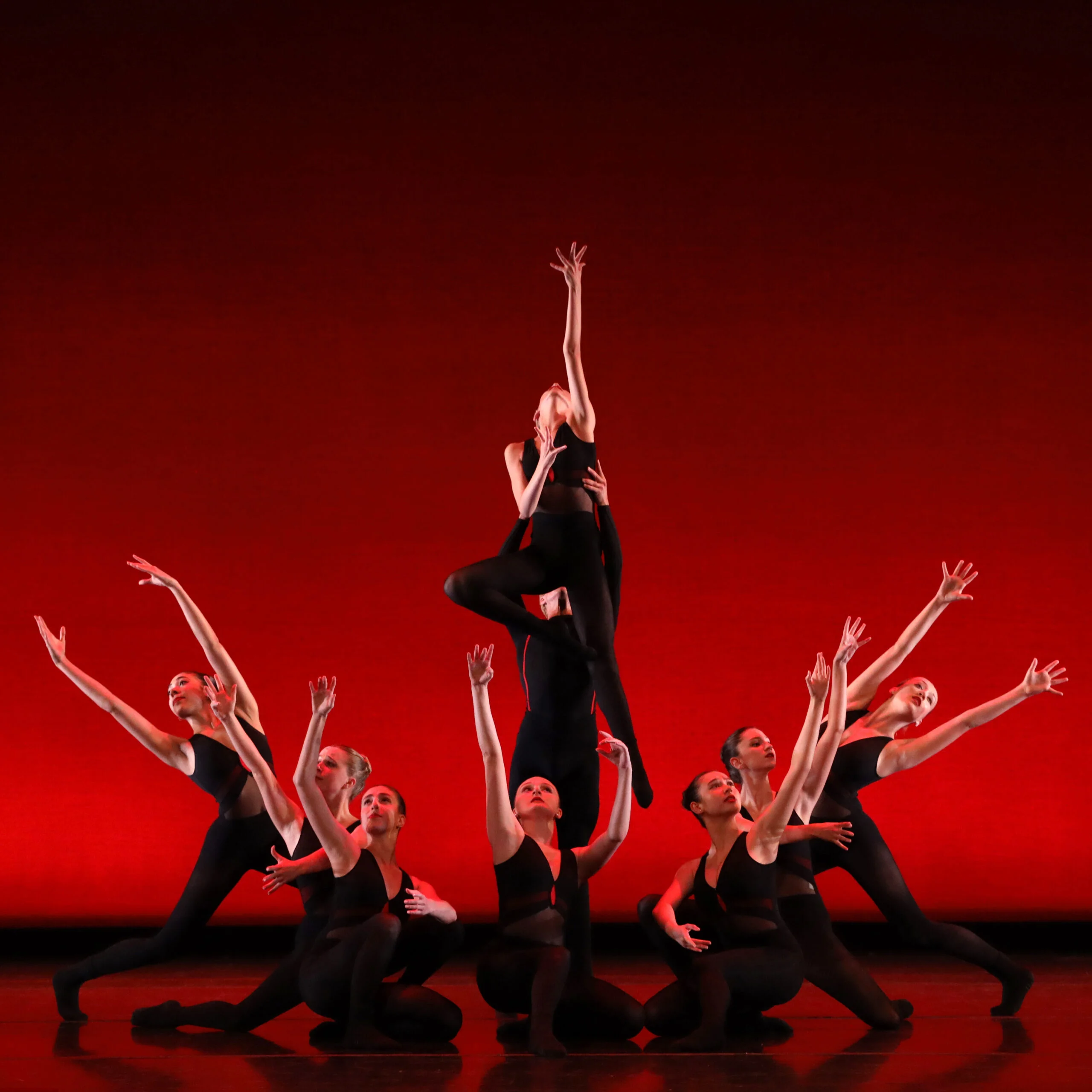 View Production: Images of Dance 2027